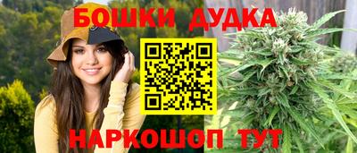 мдпв Боровичи