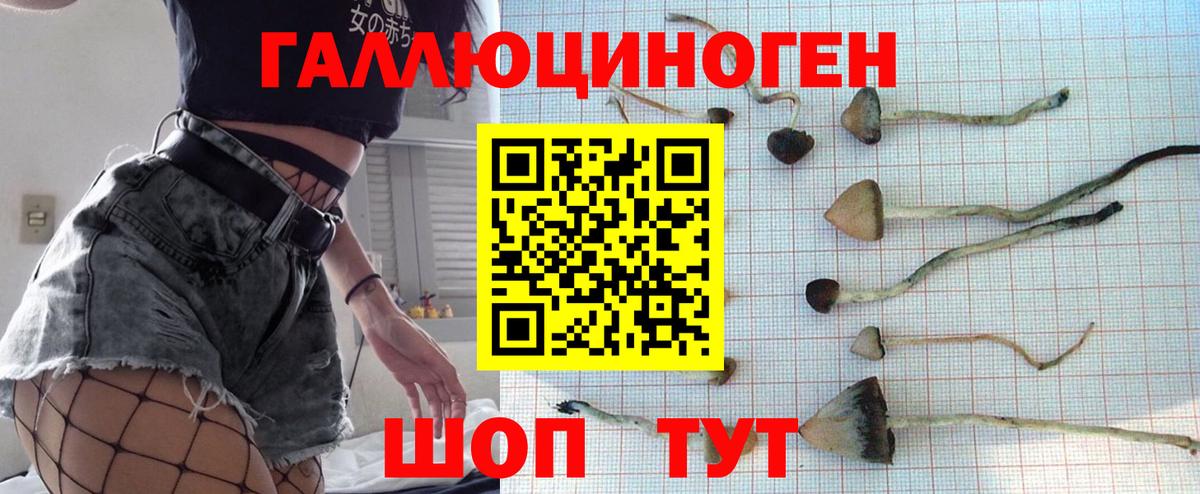 закладки  Вход с VPN  Галлюциногенные грибы Psilocybine cubensis  Камышин  Галлюциногенные грибы прущие грибы 